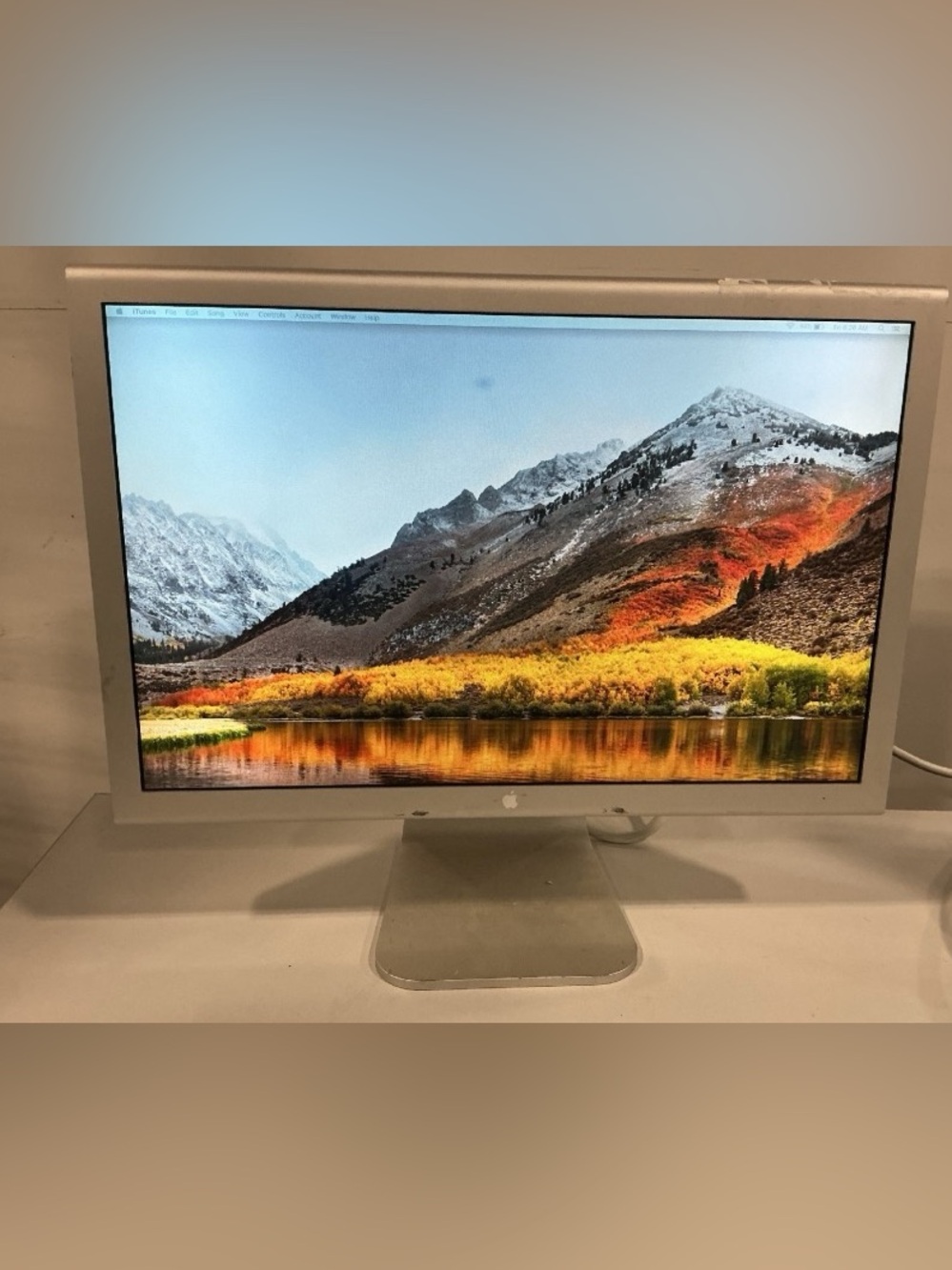Apple 20-Inch Cinema Display (A1081)
